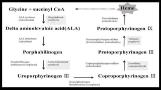 Porphyrin metabolism | PPTX