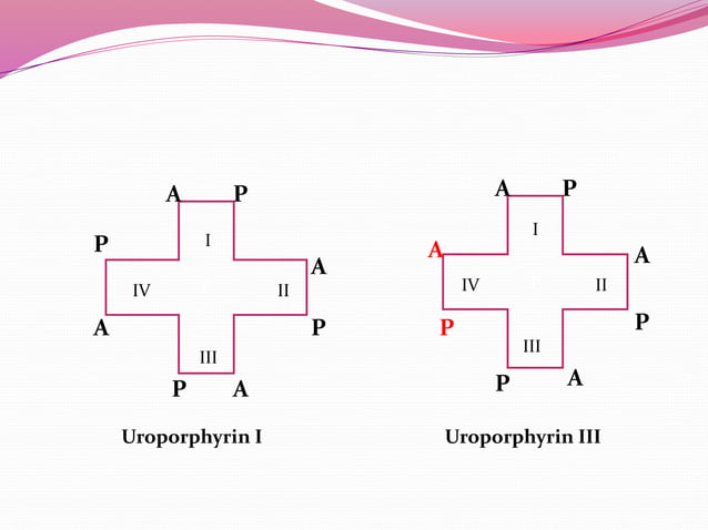 Porphyrins (2).pptx Definition and types | PPTX | Blood Disorders ...