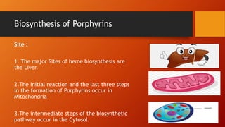 porphyrins chemistry and metabolism.pptx