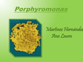 Porphyromonas 
Martínez Hernández 
Ana Laura 
 