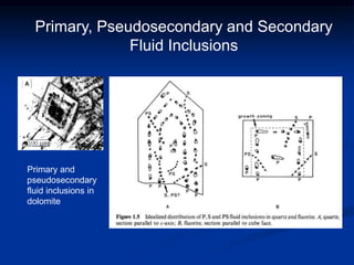 100 mm
Primary, Pseudosecondary and Secondary
Fluid Inclusions
Primary and
pseudosecondary
fluid inclusions in
dolomite
 