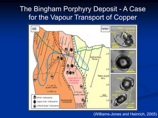 Quartz
monz
onite
porphyry
E
quigranular
monz
onite
>
0
.
7
%
C
u
>
0
.
7
%
C
u
>
0
.
3
5
%
C
u
>
0
.
3
5
%
Cu
>
0
.
3
5
%
C
u
< 0.35% Cu
S
edimentary
R
ocks
upper lim it of
critical-type
inclus
ions
1
-
5
v
o
l
.
%
q
u
a
r
t
z
v
e
i
n
s
1
-
5
v
o
l.
%
q
u
a
rt
z
v
e
i
n
s
< 1 vol %
quartz veins
5-10 vol. %
quartz veins
brine inclusions
critical-type inclusions
vapor-rich inclusions
2.5
3.0
3.5
2.0
P
aleo-depth
(k
m)
NNW
halite
opaq ue
va por
va por
va por
va por
sylvite
liq uid
liq uid
liq uid
chalc opyrite
10 mm
10 mm
10 mm
hema tite
1997 Pit
SS
E
The Bingham Porphyry Deposit - A Case
for the Vapour Transport of Copper
(Williams-Jones and Heinrich, 2005)
 