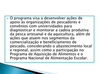  O programa visa a desenvolver ações de
apoio às organizações de pescadores e
convênios com universidades para
diagnosticar e monitorar a cadeia produtiva
da pesca artesanal e da aquicultura, além de
ações que atuem nos segmentos da
comercialização e beneficiamento de
pescado, considerando o abastecimento local
e regional, assim como a participação no
Programa de Aquisição de Alimentos e o
Programa Nacional de Alimentação Escolar.
 