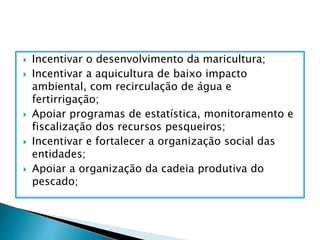  Incentivar o desenvolvimento da maricultura;
 Incentivar a aquicultura de baixo impacto
ambiental, com recirculação de água e
fertirrigação;
 Apoiar programas de estatística, monitoramento e
fiscalização dos recursos pesqueiros;
 Incentivar e fortalecer a organização social das
entidades;
 Apoiar a organização da cadeia produtiva do
pescado;
 