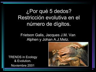 ¿Por qué 5 dedos?
Restricción evolutiva en el
número de dígitos.
Frietson Galis, Jacques J.M. Van
Alphen y Johan A.J.Metz.
TRENDS in Ecology
& Evolution.
Noviembre 2001
 