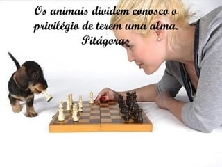 Os animais dividem conosco o privilégio de terem uma alma. Pitágoras 