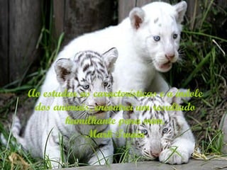 Ao estudar as características e a índole dos animais, encontrei um resultado humilhante para mim. Mark Twain 