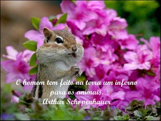 O homem tem feito na terra um inferno para os animais. Arthur Schopenhauer 