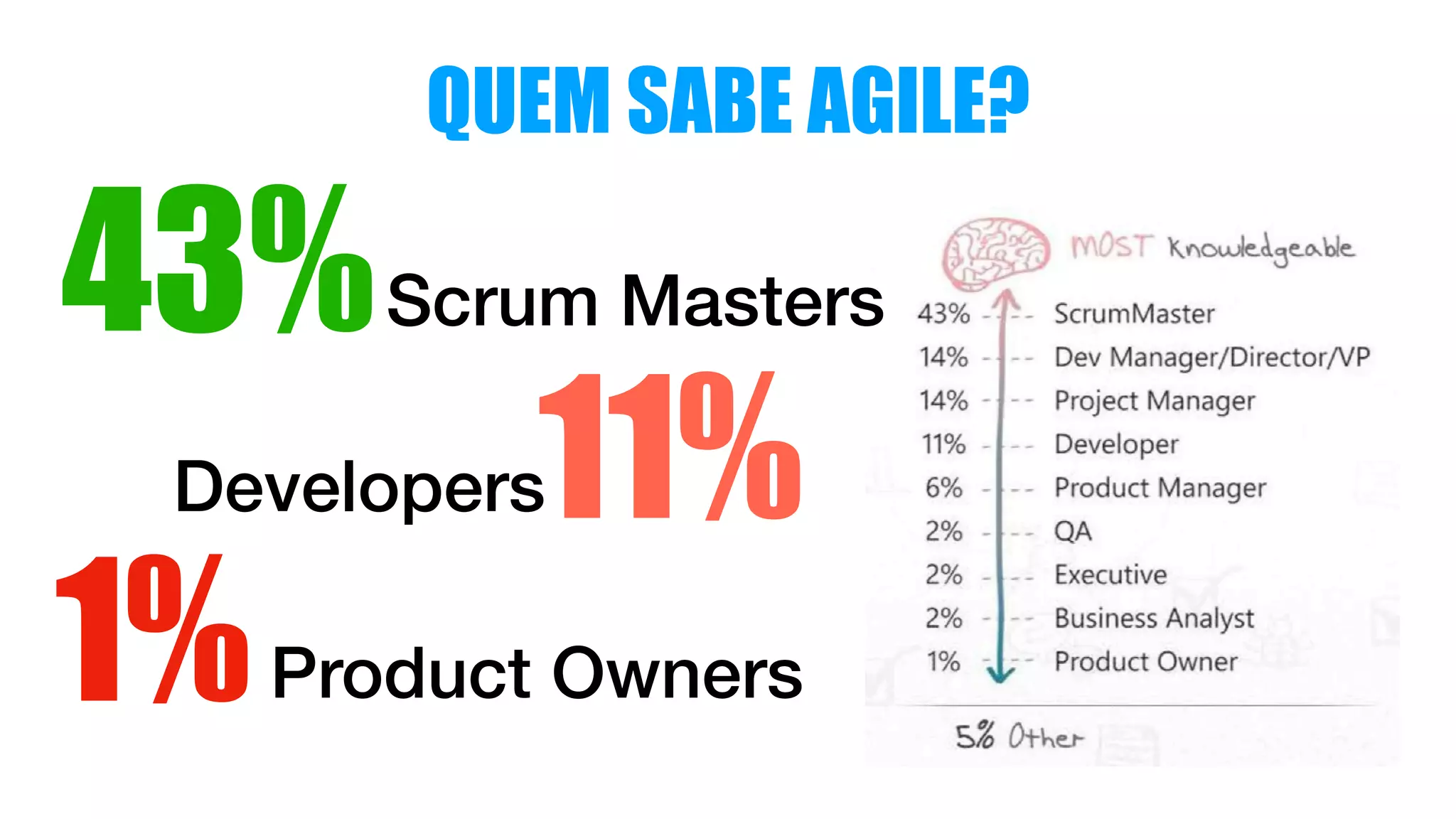 Developers11%
QUEM SABE AGILE?
43%Scrum Masters
1%Product Owners
 
