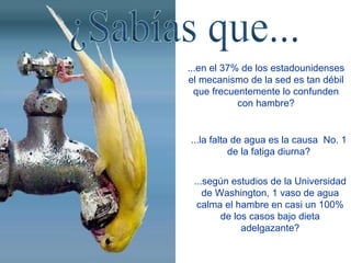 ¿Sabías que... ...en el 37% de los estadounidenses el mecanismo de la sed es tan débil que frecuentemente lo confunden con hambre? ...la falta de agua es la causa  No. 1 de la fatiga diurna? ...según estudios de la Universidad de Washington, 1 vaso de agua calma el hambre en casi un 100% de los casos bajo dieta adelgazante? 