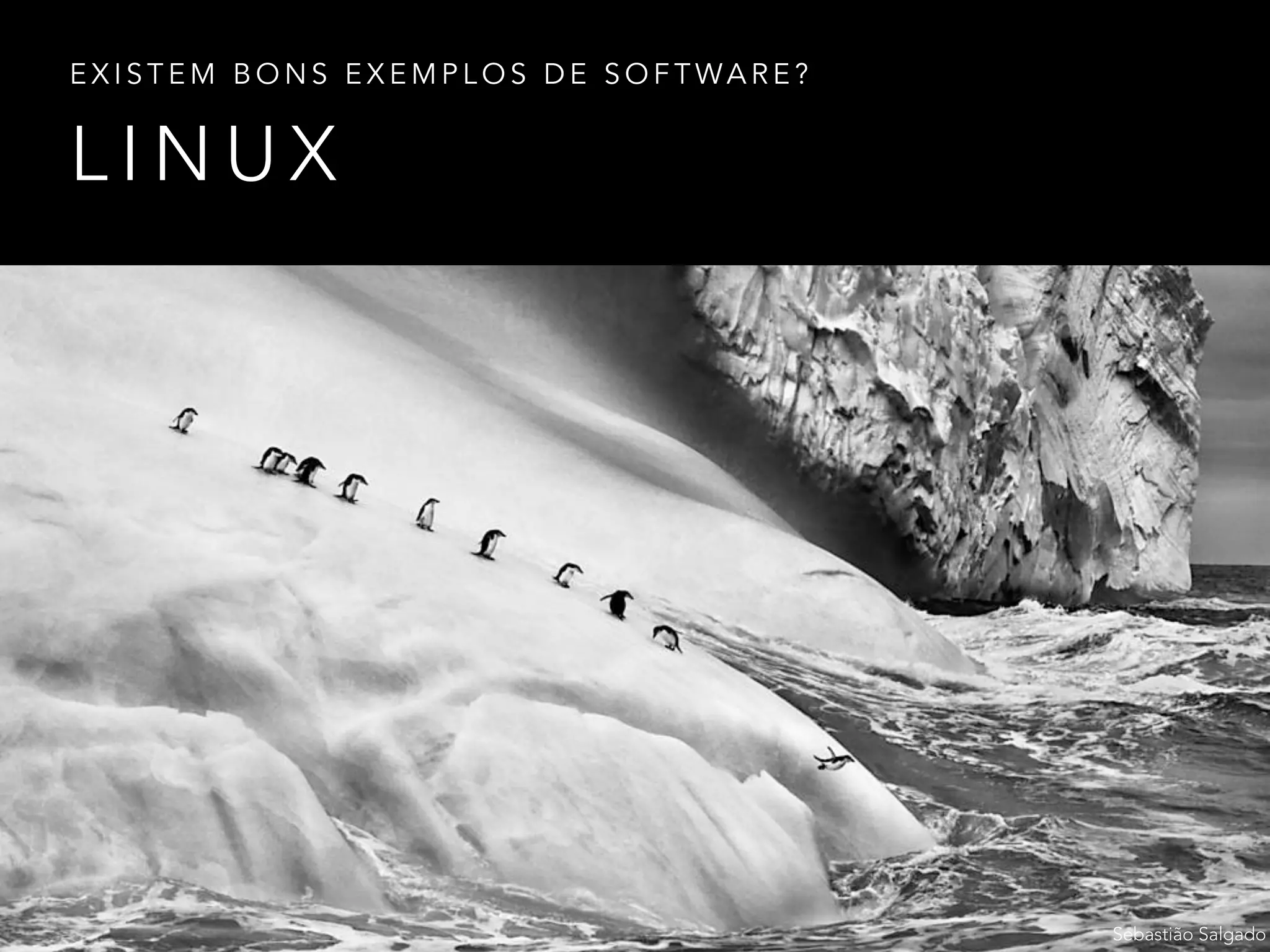 L I N U X
E X I S T E M B O N S E X E M P L O S D E S O F T WA R E ?
Sebastião Salgado
 