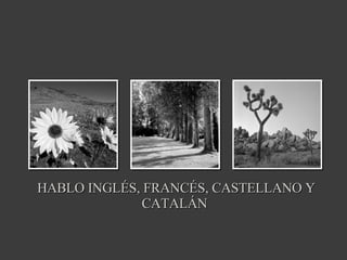 HABLO INGLÉS, FRANCÉS, CASTELLANO Y CATALÁN  
