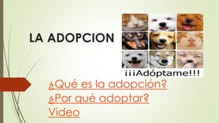 LA ADOPCION
¿Qué es la adopción?
¿Por qué adoptar?
Video
 