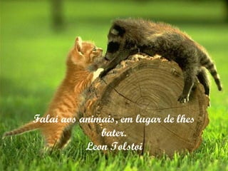 Falai aos animais, em lugar de lhes bater. Leon Tolstoi 