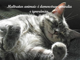Maltratar animais é demonstrar covardia e ignorância. Leon Tolstoi 