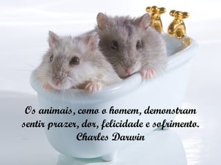 Os animais, como o homem, demonstram sentir prazer, dor, felicidade e sofrimento. Charles Darwin 