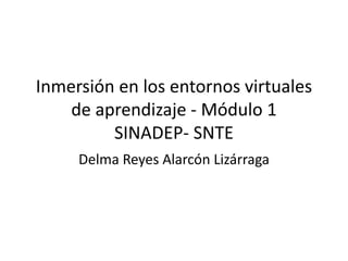 Inmersión en los entornos virtuales 
de aprendizaje - Módulo 1 
SINADEP- SNTE 
Delma Reyes Alarcón Lizárraga 
 