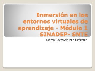 Inmersión en los 
entornos virtuales de 
aprendizaje - Módulo 1 
SINADEP- SNTE 
Delma Reyes Alarcón Lizárraga 
 