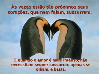 Às vezes estão tão próximos seus corações, que nem falam, sussurram. E quando o amor é mais intenso, não necessitam sequer sussurrar, apenas se olham, e basta. 