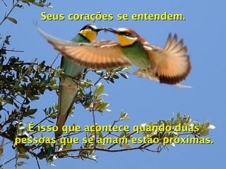 Seus corações se entendem. É isso que acontece quando duas pessoas que se amam estão próximas. 