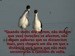 “ Quando vocês discutirem, não deixem que seus corações se afastem, não digam palavras que os distanciem mais, pois chegará um dia em que a distância será tanta que não mais encontrarão o caminho de volta. 