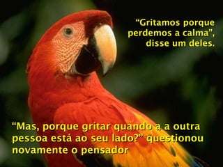“ Gritamos porque perdemos a calma”, disse um deles. “ Mas, porque gritar quando a a outra pessoa está ao seu lado?” questionou novamente o pensador 