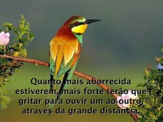 Quanto mais aborrecida estiverem, mais forte terão que gritar para ouvir um ao outro, através da grande distância. 