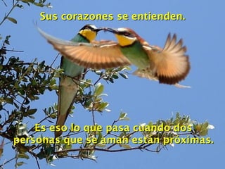 Sus corazones se entienden. Es eso lo que pasa cuando dos personas que se aman están próximas. 