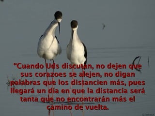 “ Cuando Uds discutan, no dejen que sus corazoes se alejen, no digan palabras que los distancien más, pues llegará un día en que la distancia será tanta que no encontrarán más el camino de vuelta. 