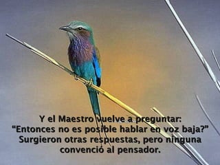 Y el Maestro vuelve a preguntar: “Entonces no es posible hablar en voz baja?” Surgieron otras respuestas, pero ninguna convenció al pensador. 