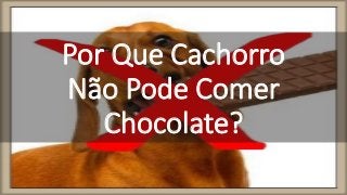 Por Que Cachorro
Não Pode Comer
Chocolate?
 