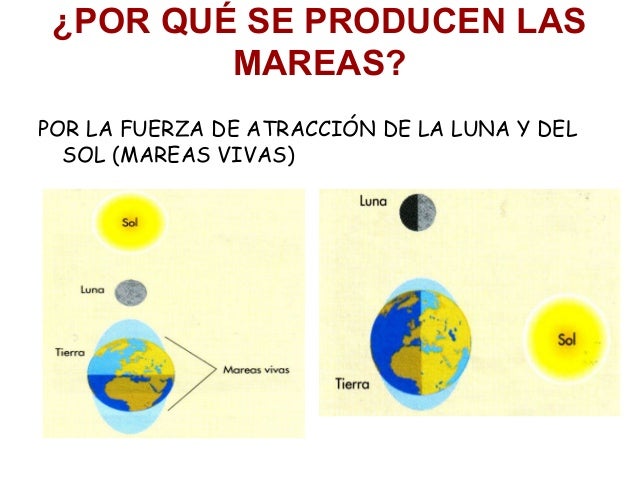A que es actuado caen los cabellos largos