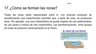17 ¿Cómo se forman las rocas?
Todas las rocas están relacionadas entre sí. Los diversos procesos de
transformación que experimentan permiten que, a partir de unas, se produzcan
otras. Por ejemplo, una roca metamórfica se puede originar de una sedimentaria,
de una ígnea e incluso de otra metamórfica. Las transformaciones entre grupos
de rocas se producen continuamente en la Tierra.
nº14
 