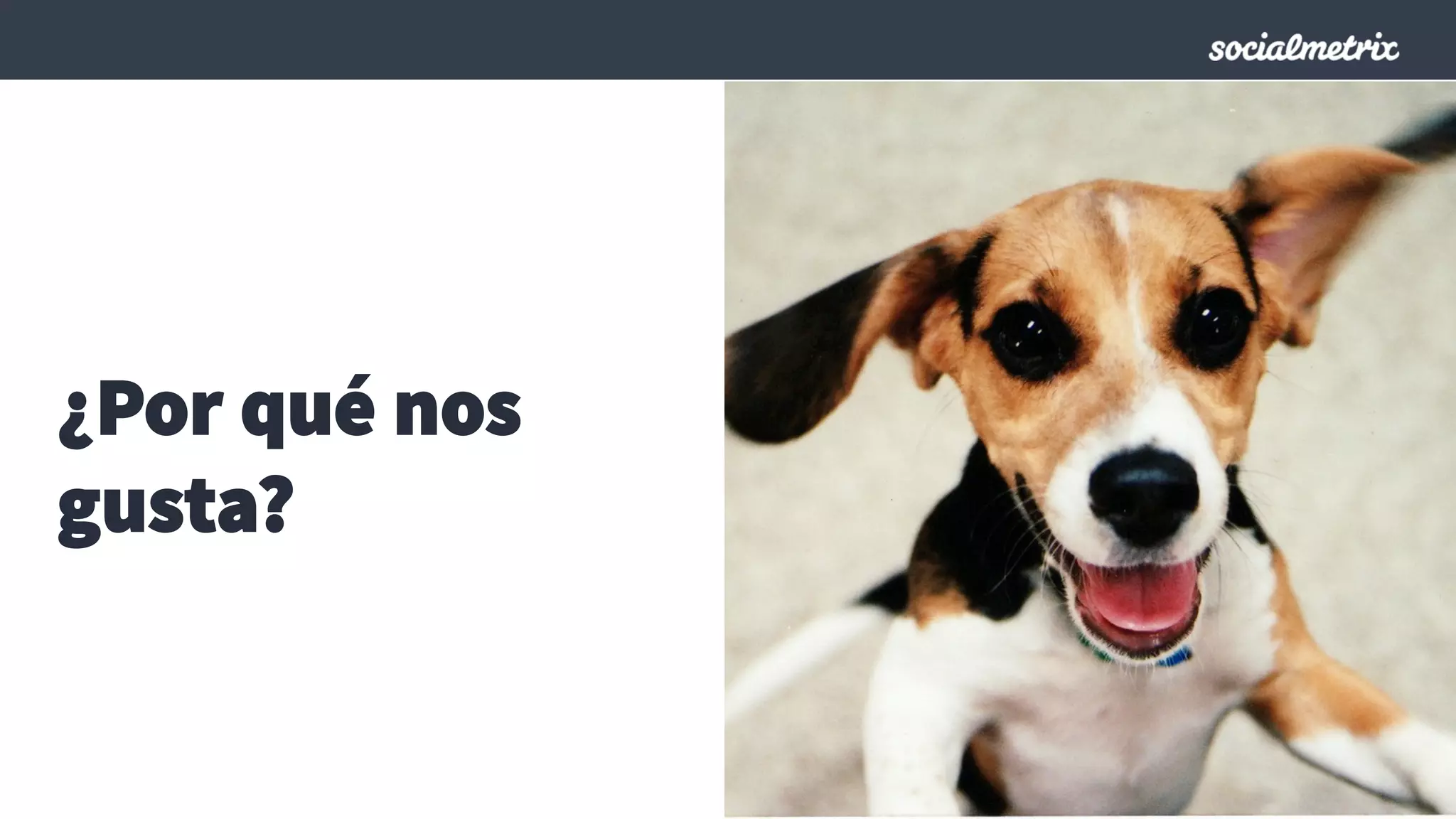 ¿Por qué nos
gusta?
 