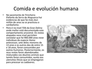 Comida e evolución humana
• No xacemento de Trincheira
Elefante da Serra de Atapuerca hai
evidencias de que fai máis dun
millón de anos xa se practicou o
canibalismo.
• Pero é no nivel TD6 da Gran Dolina
onde mellor está documentado este
comportamento ancestral. Os restos
atopados nese nivel permiten
constatar que fai 900.000 anos nove
individuos da especie Homo
antecessor, sete deles menores de
13 anos e os outros dos de entre 15
e 18 anos, foron consumidos por
outros humanos. Posteriormente, os
seus restos foron abandonados
mixturados cos doutros animais que
tamén foron consumidos, xunto aos
utensilios líticos que se empregaron
para procesar os cadáveres.
 