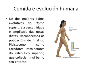 Comida e evolución humana
• Un dos maiores éxitos
evolutivos do Homo
sapiens é a versatilidade
e amplitude das nosas
dietas. Recoñecemos ás
poboacións do final do
Pleistoceno como
cazadores recolectores
do Paleolítico superior,
que coñecían moi ben o
seu entorno.
 