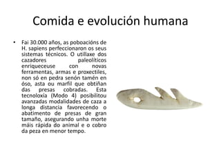 Comida e evolución humana
• Fai 30.000 años, as poboacións de
H. sapiens perfeccionaron os seus
sistemas técnicos. O utillaxe dos
cazadores paleolíticos
enriqueceuse con novas
ferramentas, armas e proxectiles,
non só en pedra senón tamén en
óso, asta ou marfil que obtiñan
das presas cobradas. Esta
tecnoloxía (Modo 4) posibilitou
avanzadas modalidades de caza a
longa distancia favorecendo o
abatimento de presas de gran
tamaño, asegurando unha morte
máis rápida do animal e o cobro
da peza en menor tempo.
 