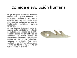 Comida e evolución humana
• Os grupos productores dO Holoceno
comenzaron paulatinamente a
incorporar alimentos ata entón
descoñecidos nas súas dietas aínda
que seguiron utilizando os recursos
tradicionais, explotados durante
longo tempo.
• A domesticación de prantas e animais
supuso unha verdadeira revolución
na subsistencia humana ao permitir
dispoñer dunha maior cantidade de
alimentos. As novas formas da
agricultura e a gandería consistían na
producción propia de alimentos
vegetais e animais. Este salto
cualitativo nos hábitos alimentarios
ocurriu de forma independente en
varios puntos do planeta.
 