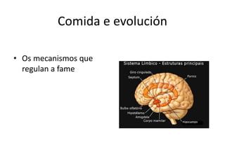 Comida e evolución
• Os mecanismos que
regulan a fame
 
