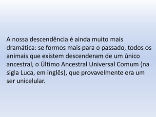 A nossa descendência é ainda muito mais
dramática: se formos mais para o passado, todos os
animais que existem descenderam de um único
ancestral, o Último Ancestral Universal Comum (na
sigla Luca, em inglês), que provavelmente era um
ser unicelular.
 
