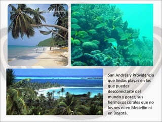 San Andrés y Providencia que lindas playas en las que puedes desconectarte del mundo y gozar, sus hermosos corales que no los ves ni en Medellín ni en Bogotá. 