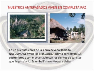 NUESTROS ANTEPASADOS VIVEN EN COMPLETA PAZ En un pueblito cerca de la sierra nevada llamado NABUSIMAKE viven los arahuacos, todavía conservan sus costumbres y son muy amable con los cientos de turistas que llegan diario. Es un bellísimo sitio para visitar. 