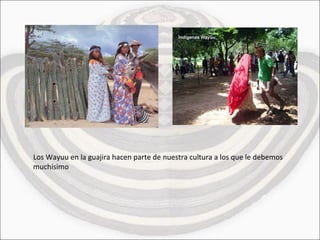 Los Wayuu en la guajira hacen parte de nuestra cultura a los que le debemos muchísimo 