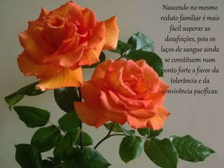 Nascendo no mesmo
reduto familiar é mais
fácil superar as
desafeições, pois os
laços de sangue ainda
se constituem num
ponto forte a favor da
tolerância e da
convivência pacíficas.
 