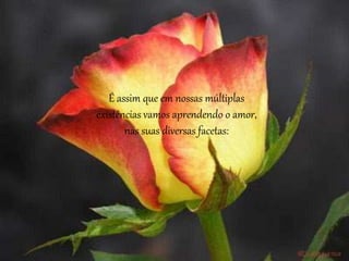 É assim que em nossas múltiplas
existências vamos aprendendo o amor,
nas suas diversas facetas:
 