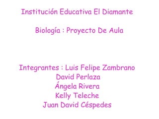 Institución Educativa El Diamante   Biología : Proyecto De Aula Integrantes : Luis Felipe Zambrano  David Perlaza Ángela Rivera Kelly Teleche Juan David Céspedes 
