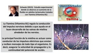 La Tiamina (Vitamina B1) regula la conducción
del impulso nervioso debido a que ayuda en el
buen desarrollo de las vainas ...