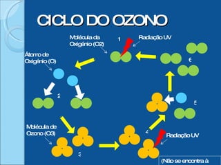 CICLO DO OZONO 1 5 4 3 2 6 (Não se encontra à escala) Molécula da Oxigénio (O2) Radiação UV Radiação UV Molécula de Ozono (O3) Átomo de Oxigénio (O) 