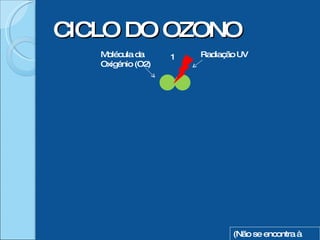 CICLO DO OZONO 1 (Não se encontra à escala) Molécula da Oxigénio (O2) Radiação UV 