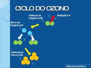 CICLO DO OZONO 1 3 2 (Não se encontra à escala) Molécula da Oxigénio (O2) Radiação UV Molécula de Ozono (O3) Átomo de Oxigénio (O) 
